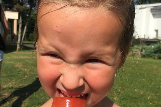 Chefs in Training - Fresh Fruit Popsicles 1