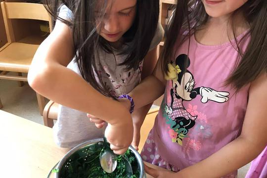 Chefs in Training - Spinach Dip 1