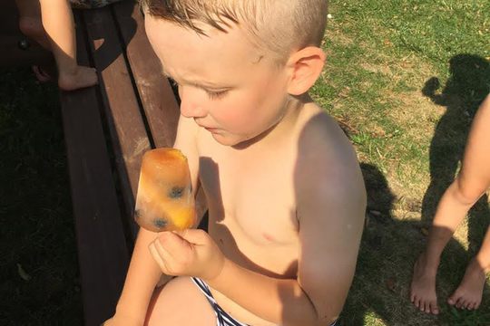 Chefs in Training - Fresh Fruit Popsicles 1