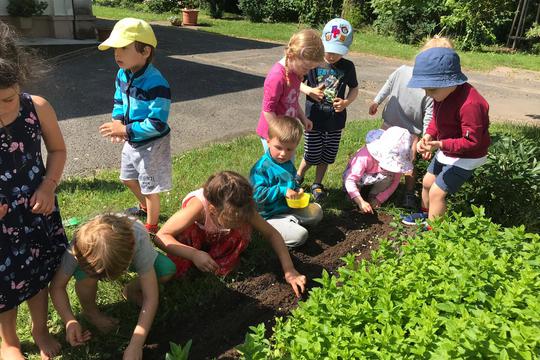 Planting for summer 1