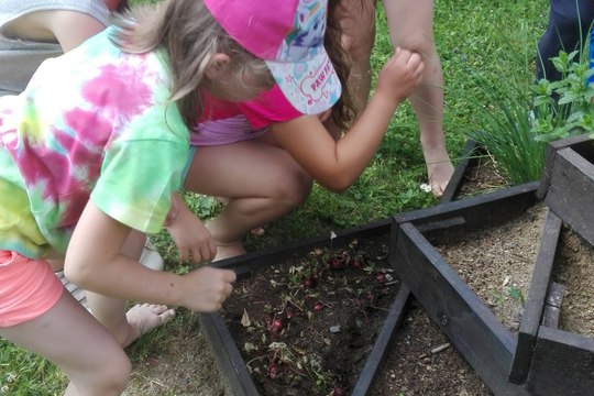 Náše záhonky Náše záhonky 1