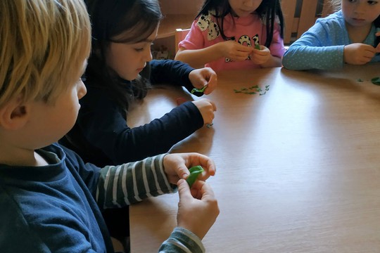 Chefs in Training - Marinated Mozzarella 1