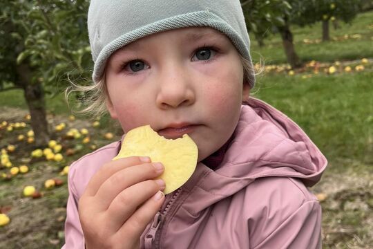 Návštěva jablečného sadu Želkovice 1