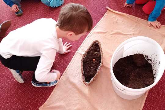 Sejeme, sázíme, klíčíme a pěstujeme microgreens 1