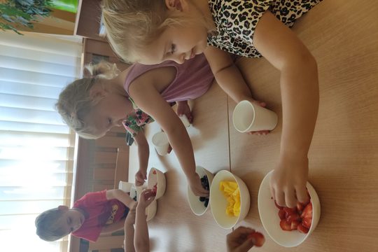 Chefs in Training - Fresh Fruit Popsicles 1