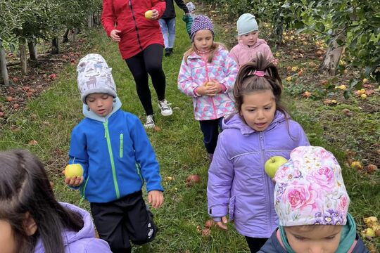 Návštěva jablečného sadu Želkovice 1