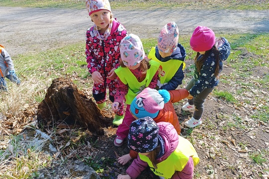 Poznáváme bylinky a květinky Poznáváme bylinky a květinky 1