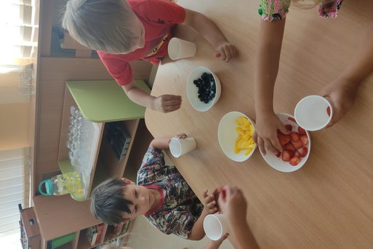 Chefs in Training - Fresh Fruit Popsicles 1