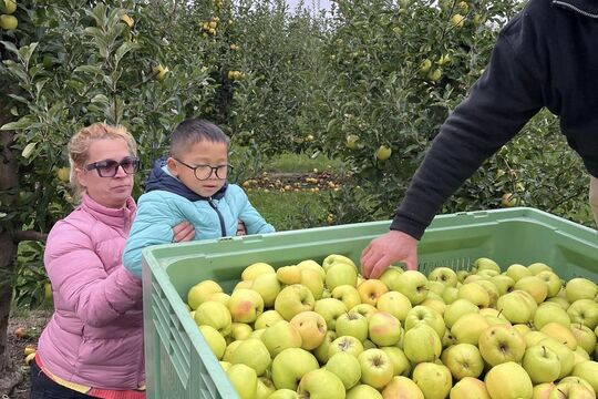 Návštěva jablečného sadu Želkovice 1