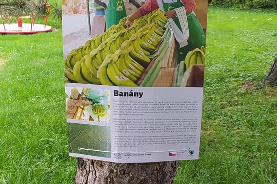 FAIRTRADE a my společně s knihovnou Veltěže 1