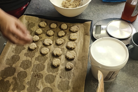 Setkání akční skupiny rodičů - praktický workshop na téma sušenky a domácí granola 1