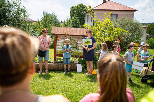 Ohlédnutí za projektem Jedlá školní zahrada 1