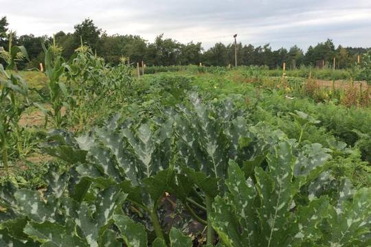 Vzdělávací den na Rodinné farmě Částkov u Žumberku  1