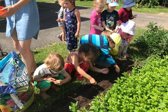 Planting for summer 1