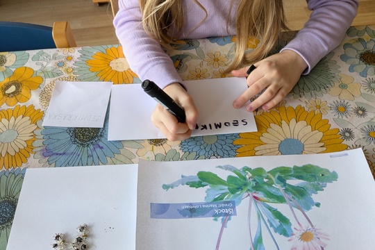 Poznáváme bylinky a květinky Poznáváme bylinky a květinky 1