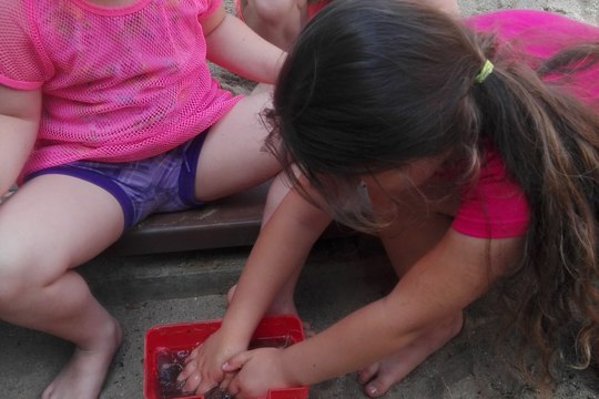 Náše záhonky Náše záhonky 1