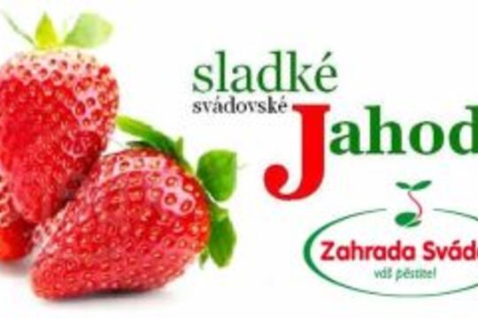 Sladké pečení a jahody ze zahrady Svádov 1