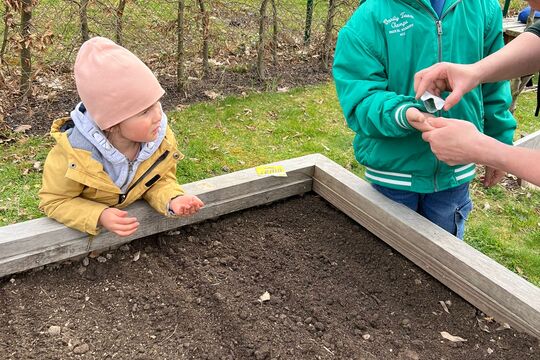 Sejeme, sázíme, klíčíme a pěstujeme microgreens 1