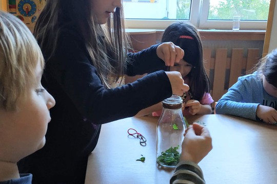 Chefs in Training - Marinated Mozzarella 1