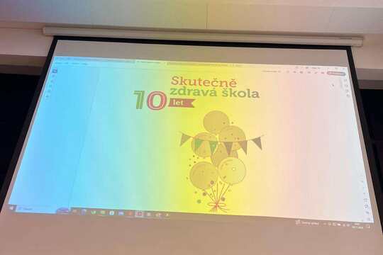 Konference Skutečně zdravé školy 1