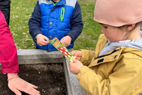 Sejeme, sázíme, klíčíme a pěstujeme microgreens 1