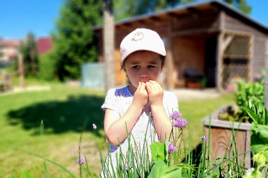 Sklízíme a užíváme si květinové záplavy 1