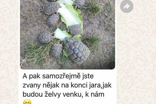 Naše akční skupina 1