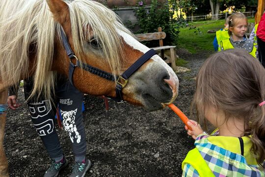 Za hospodářskými zvířátky na farmu Pod Hradem 1