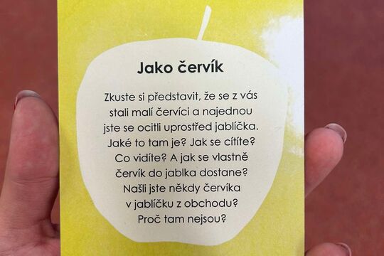 Kytičky z MŠ Kollárova - Jako červík 1