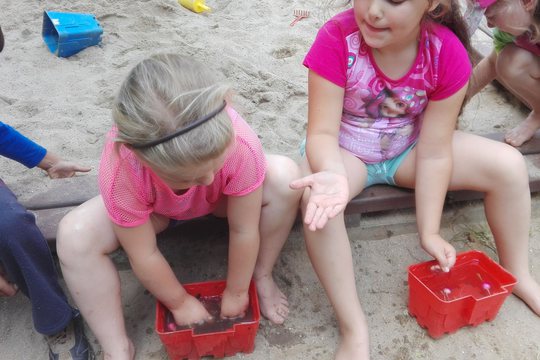 Náše záhonky Náše záhonky 1