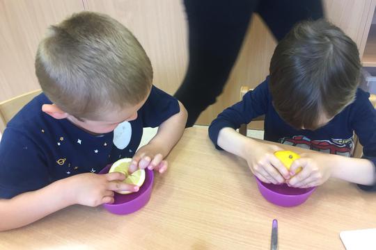 Chefs in Training - Avocado White bean spread 1