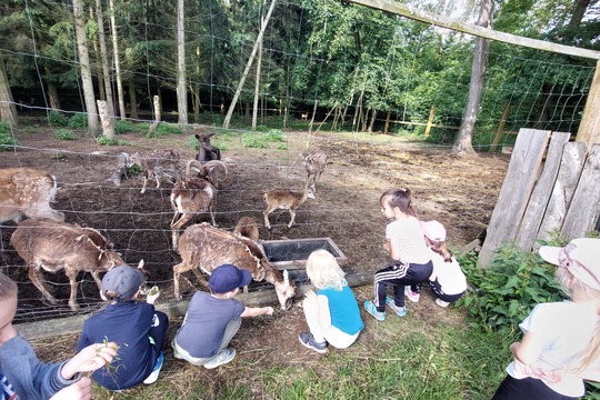 Výlet do Licibořic 1