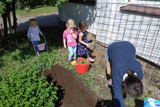 Planting for summer 1