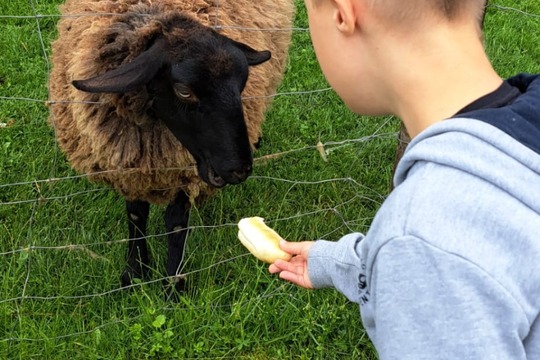 Výlet na farmu 1