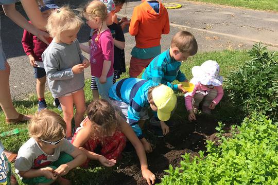 Planting for summer 1