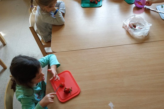 Chefs in Training - Strawberry Terrine 1