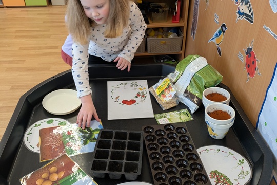 Poznáváme bylinky a květinky Poznáváme bylinky a květinky 1