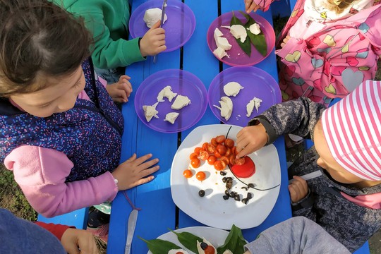 Chefs in Training - Ladybugs 1