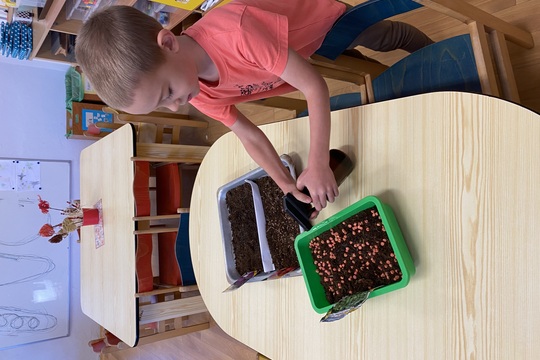 Microgreens  1