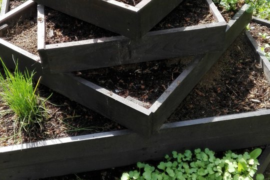 Náše záhonky Náše záhonky 1