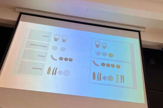 Konference Skutečně zdravé školy 1