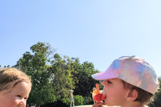 Chefs in Training - Fresh Fruit Popsicles 1