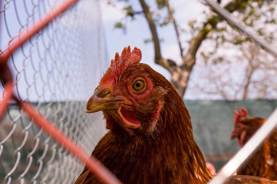 Vzdělávací den na Rodinné farmě Částkov u Žumberku  1