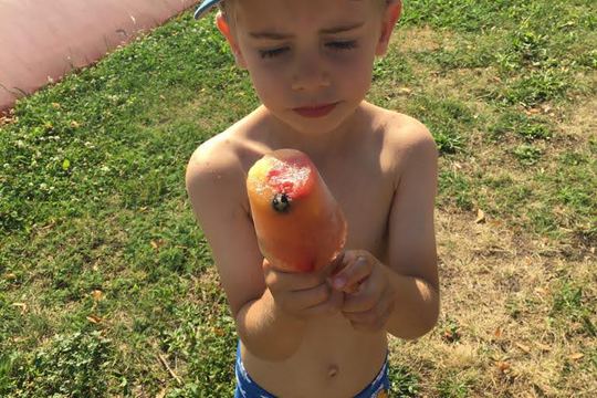 Chefs in Training - Fresh Fruit Popsicles 1