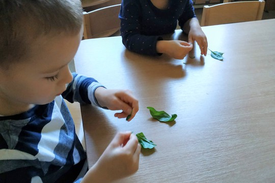 Chefs in Training - Marinated Mozzarella 1