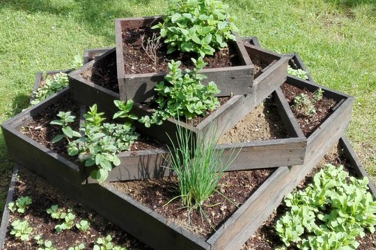 Náše záhonky Náše záhonky 1