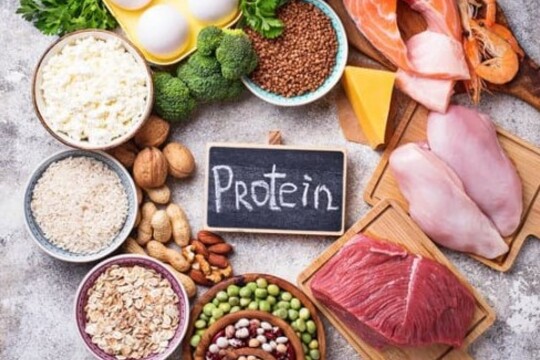Proteiny ve stravě a jejich význam ve školním obědu